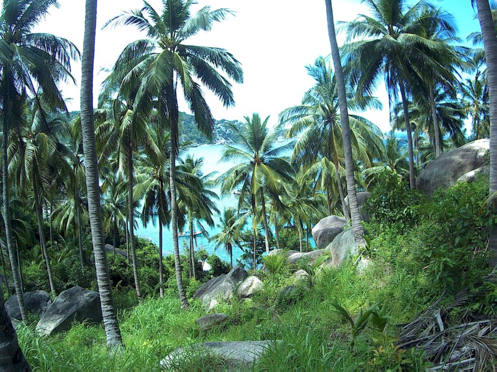 Hanny Witheridge zabójstwo na plaży